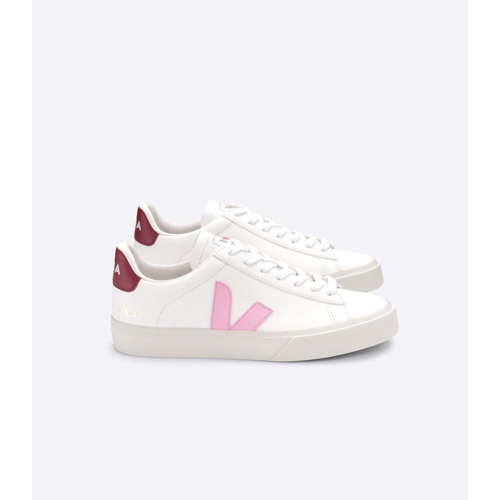 Men\'s Veja CAMPO CHROMEFREE Low Tops Sneakers White/Pink | ZA 193WNB